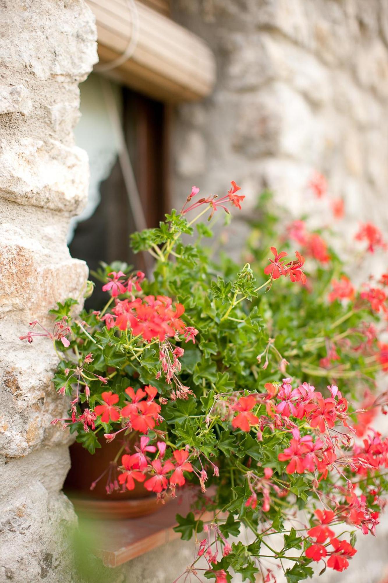 Casa Leonardo Guest House Senterada Exterior photo